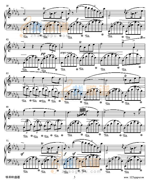 幻想即兴曲-滴漏打谱-肖邦