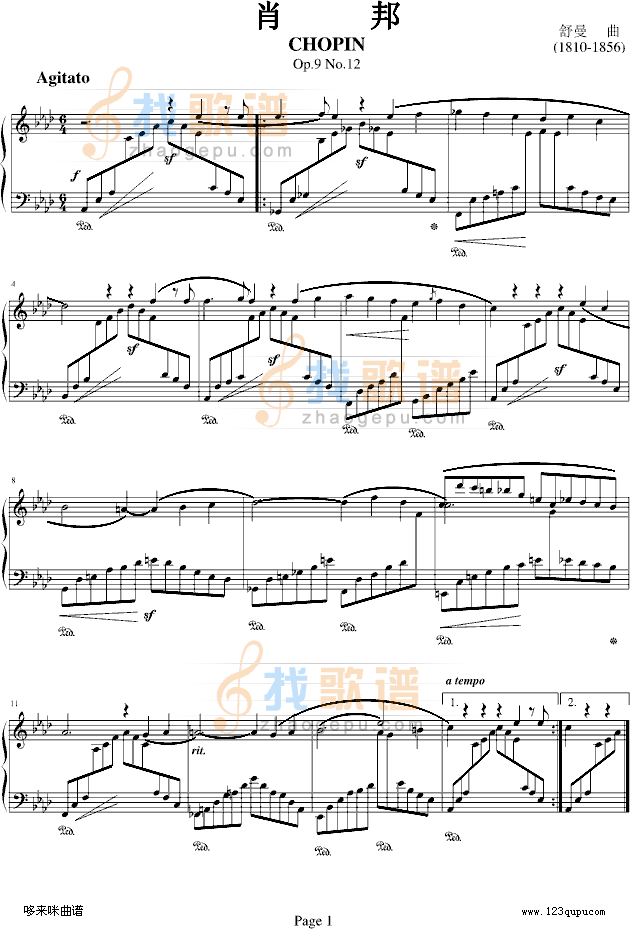 肖邦Op.9 No.12-舒曼