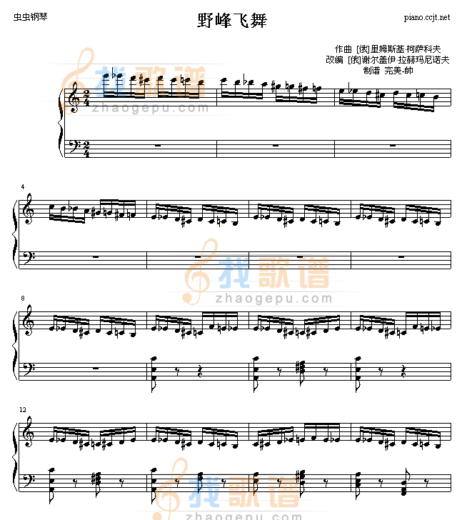 野蜂飞舞