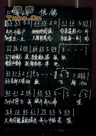 信鸽 版	