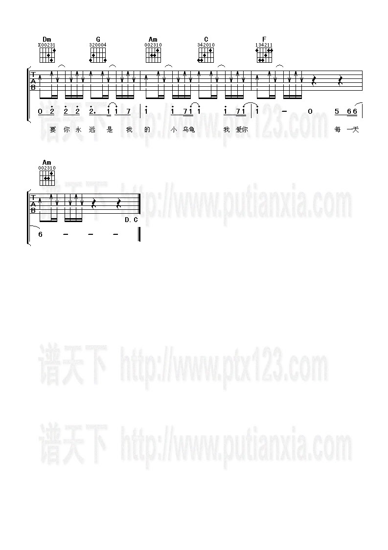 小乌龟