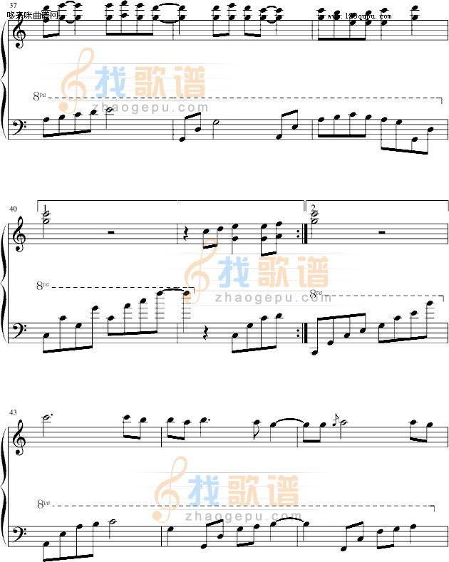 “憨猪”的眼泪-言主任