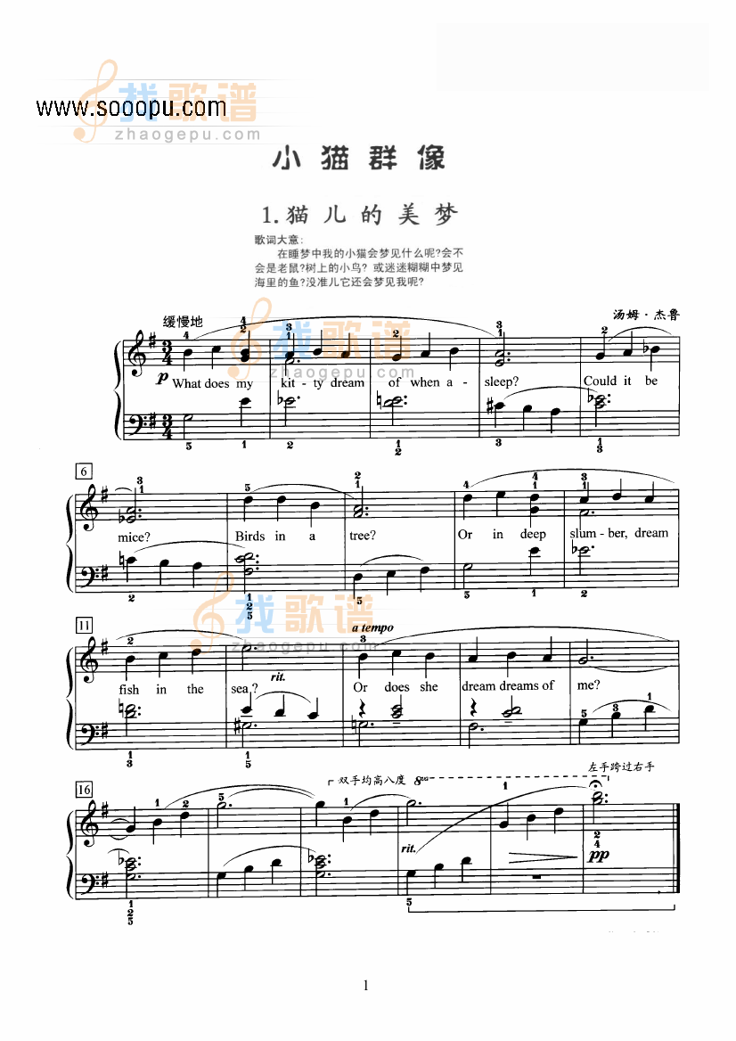 小猫群像