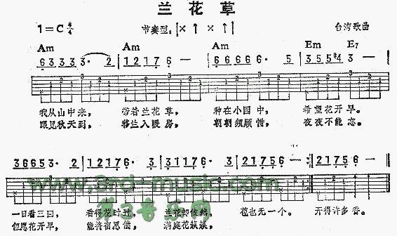 兰花草(台湾民歌)