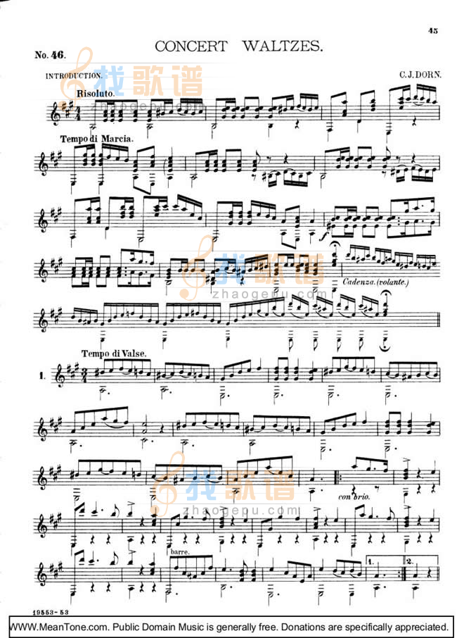 Concert Waltzes