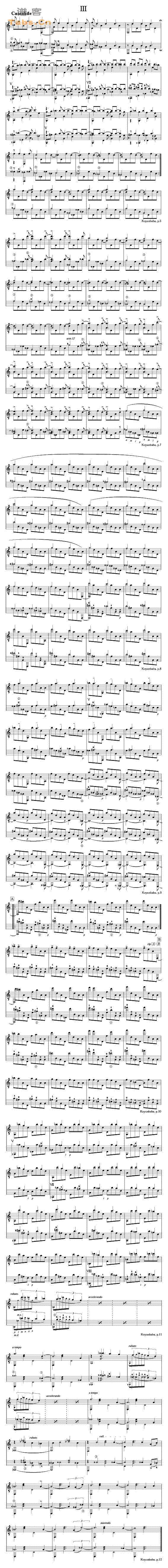 科庸巴巴 Koyunbaba 羊儿之爹组曲 第三乐章 OP.19	