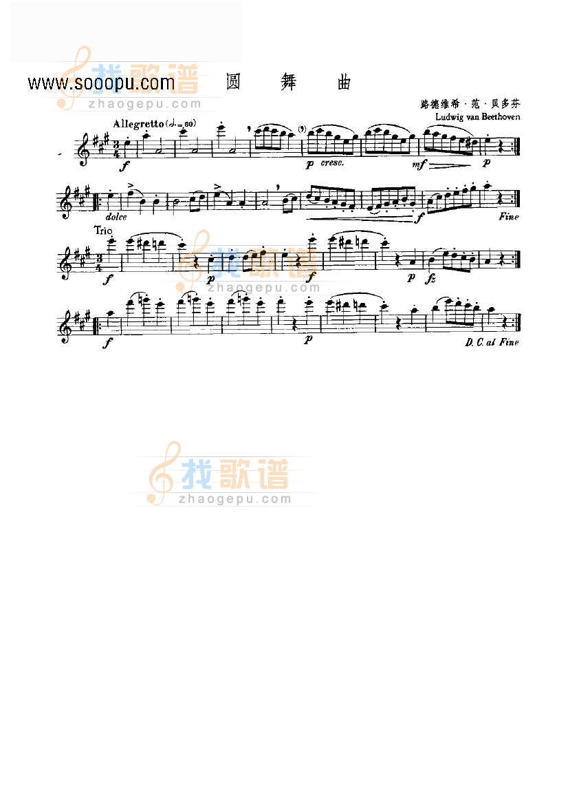 圆舞曲—独奏