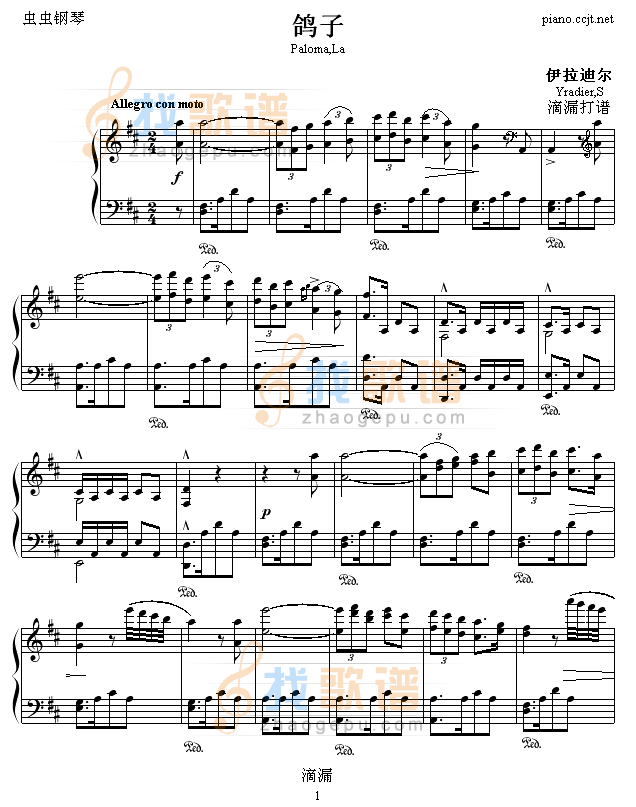 鸽子