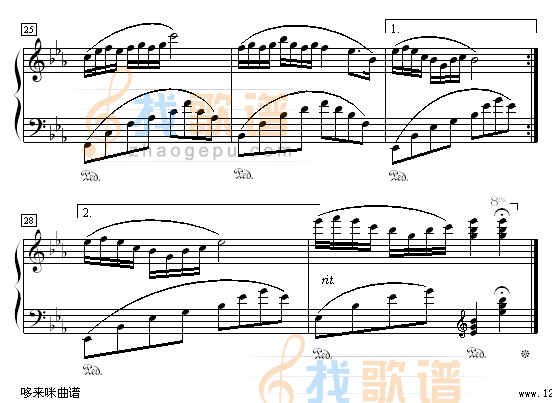 海上花-陈淑华