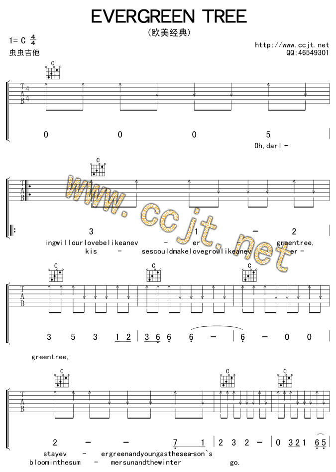 evergreen tree吉他谱( 六)-