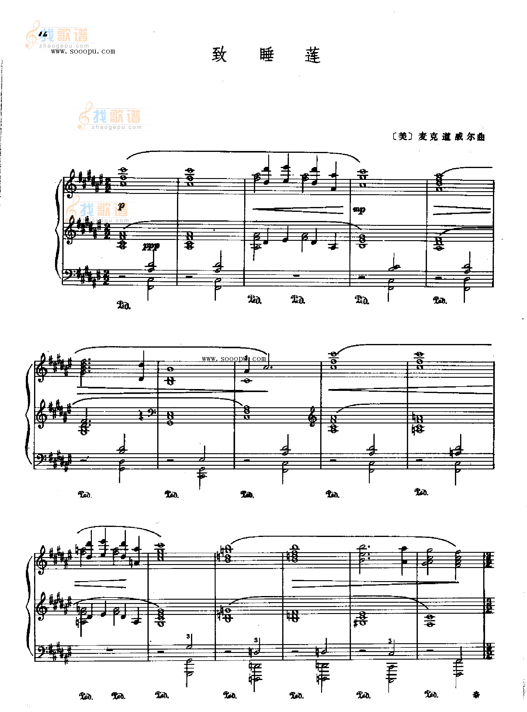 致睡莲