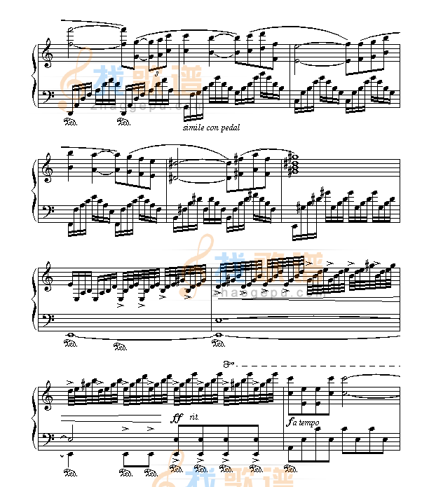 爱情的故事