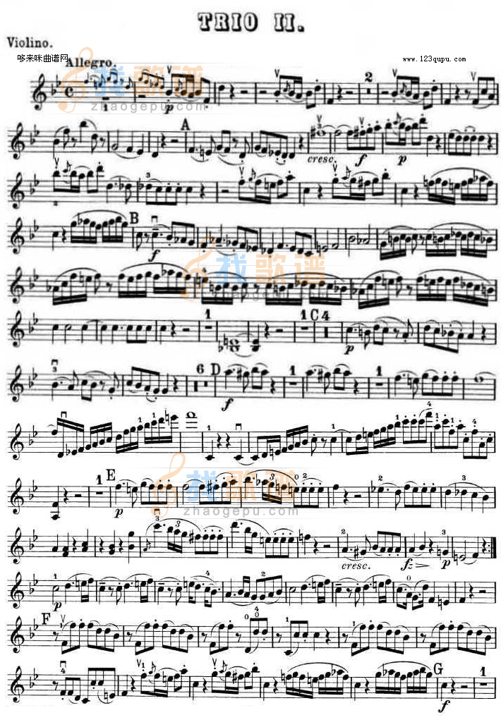提琴三重奏 第二首 降B大调 K.502之Violin TRIO