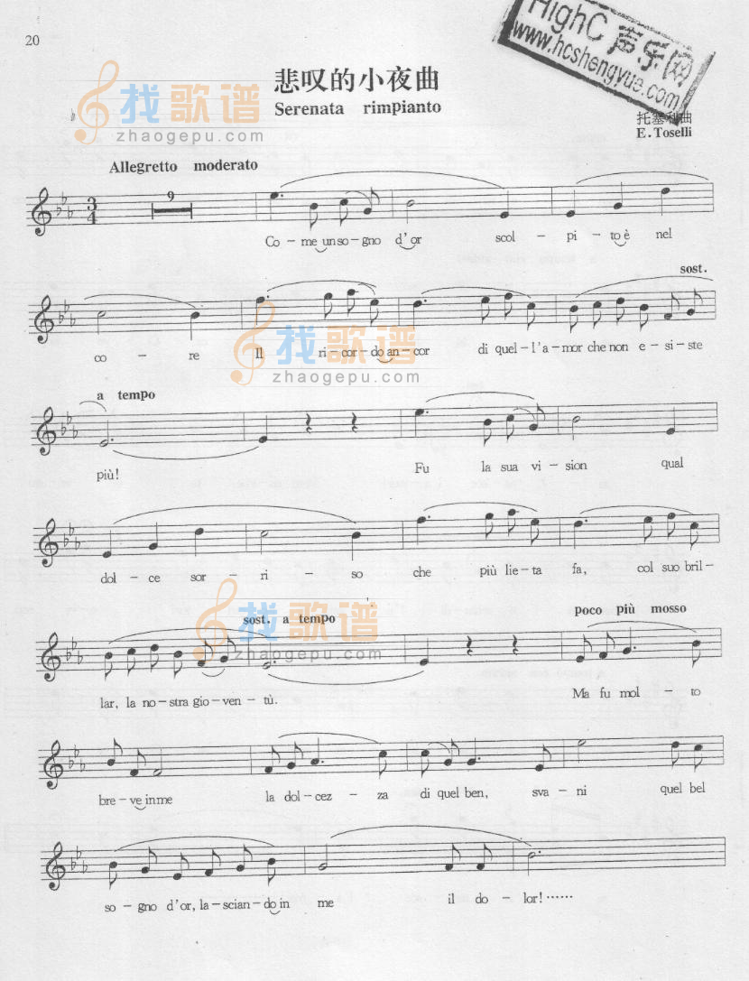 悲叹的小夜曲