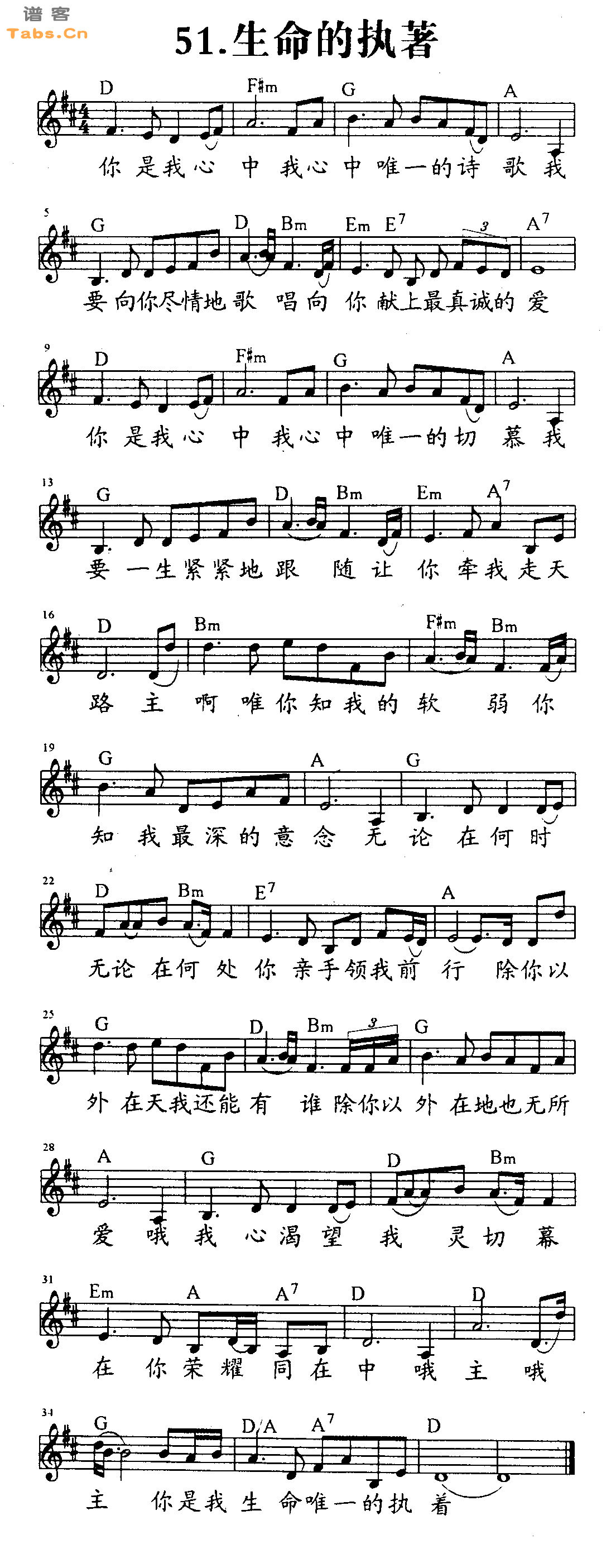 生命的执着 	