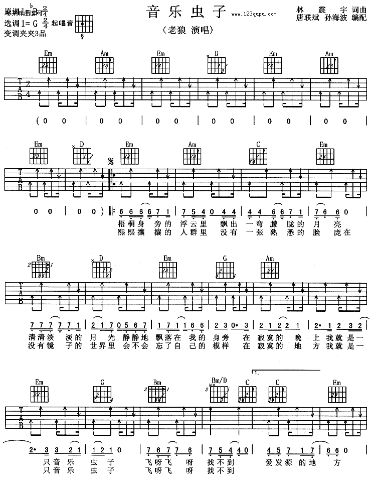 音乐虫子 （老狼）