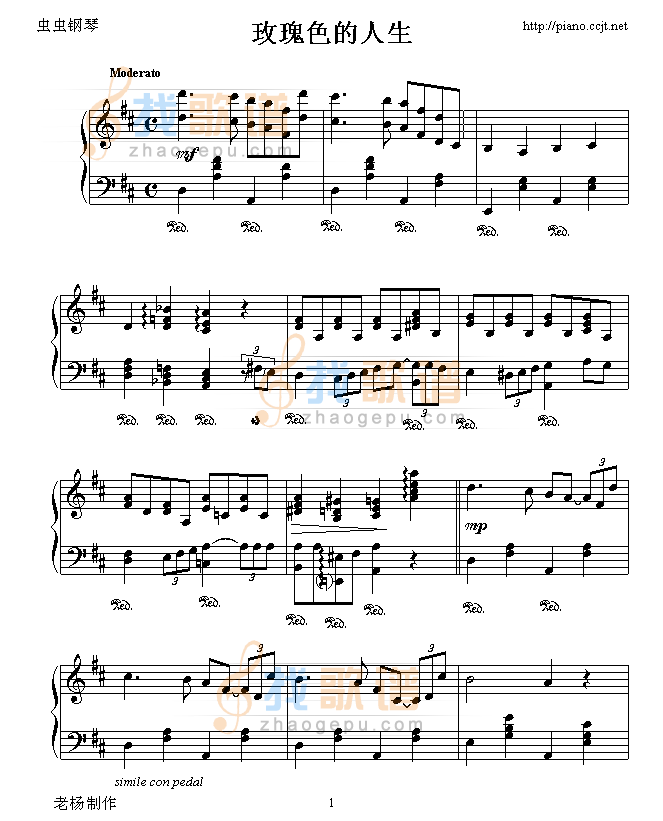 玫瑰色的人生