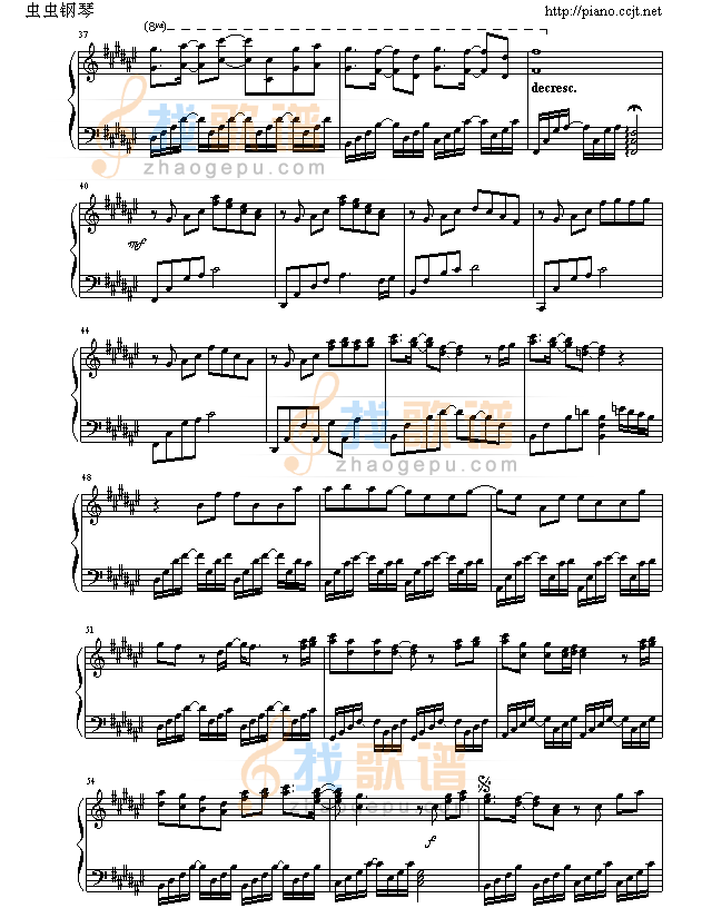 候鸟