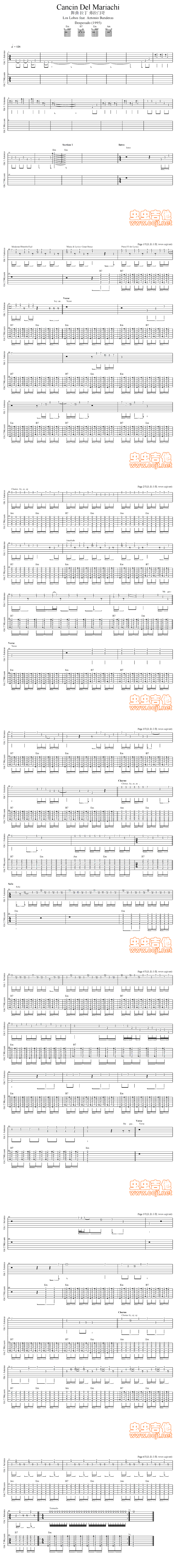 Cancin Del Mariachi (双吉他)
