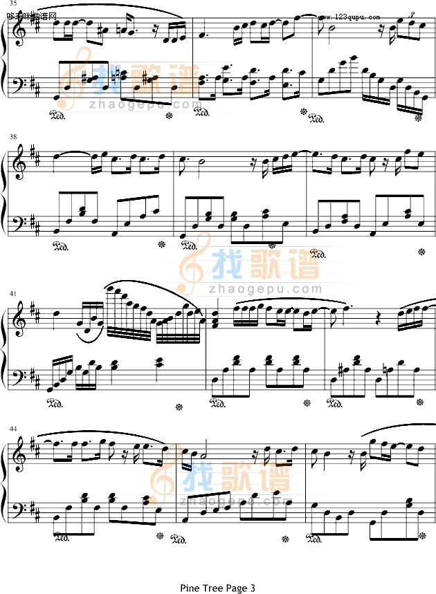 Pinr Tree-安七炫