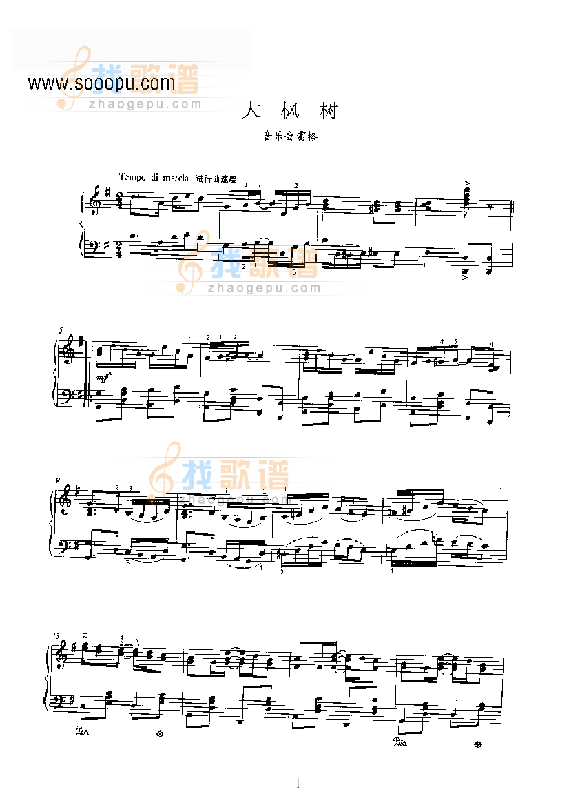 大枫树