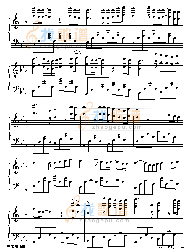 后来-刘若英