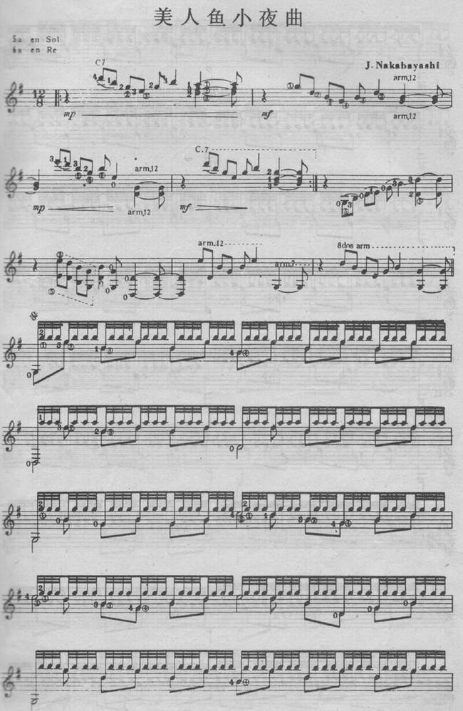 美人鱼小夜曲