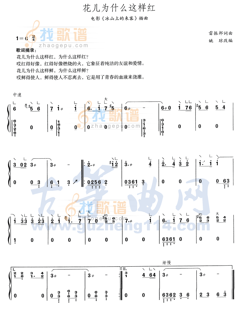 花儿为什么这样红