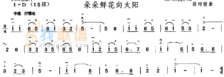 朵朵鲜花向太阳