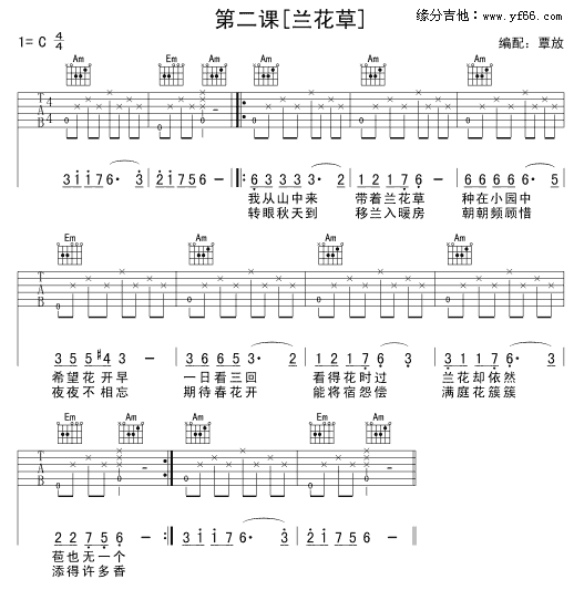 兰花草