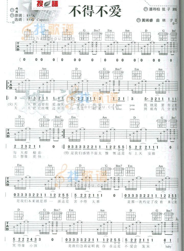 不得不爱