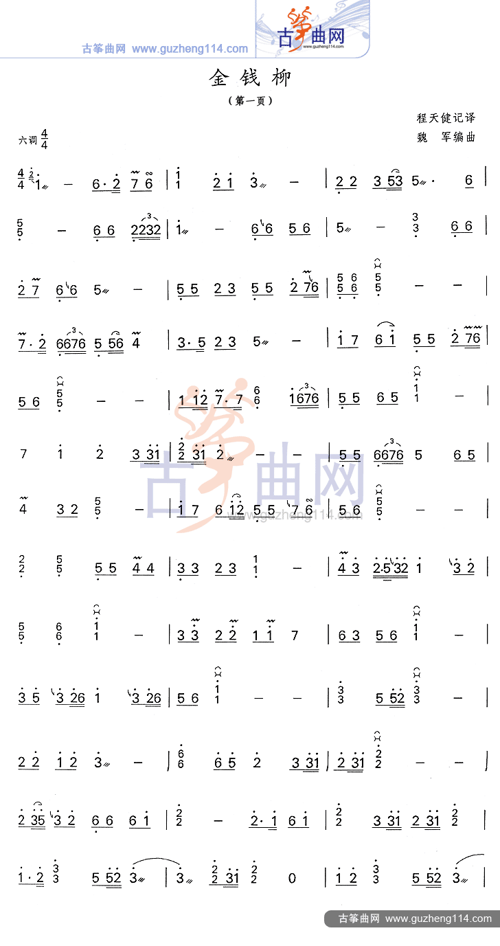 金钱柳