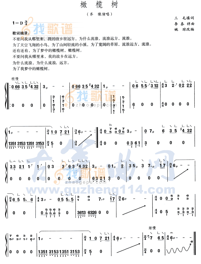 橄榄树