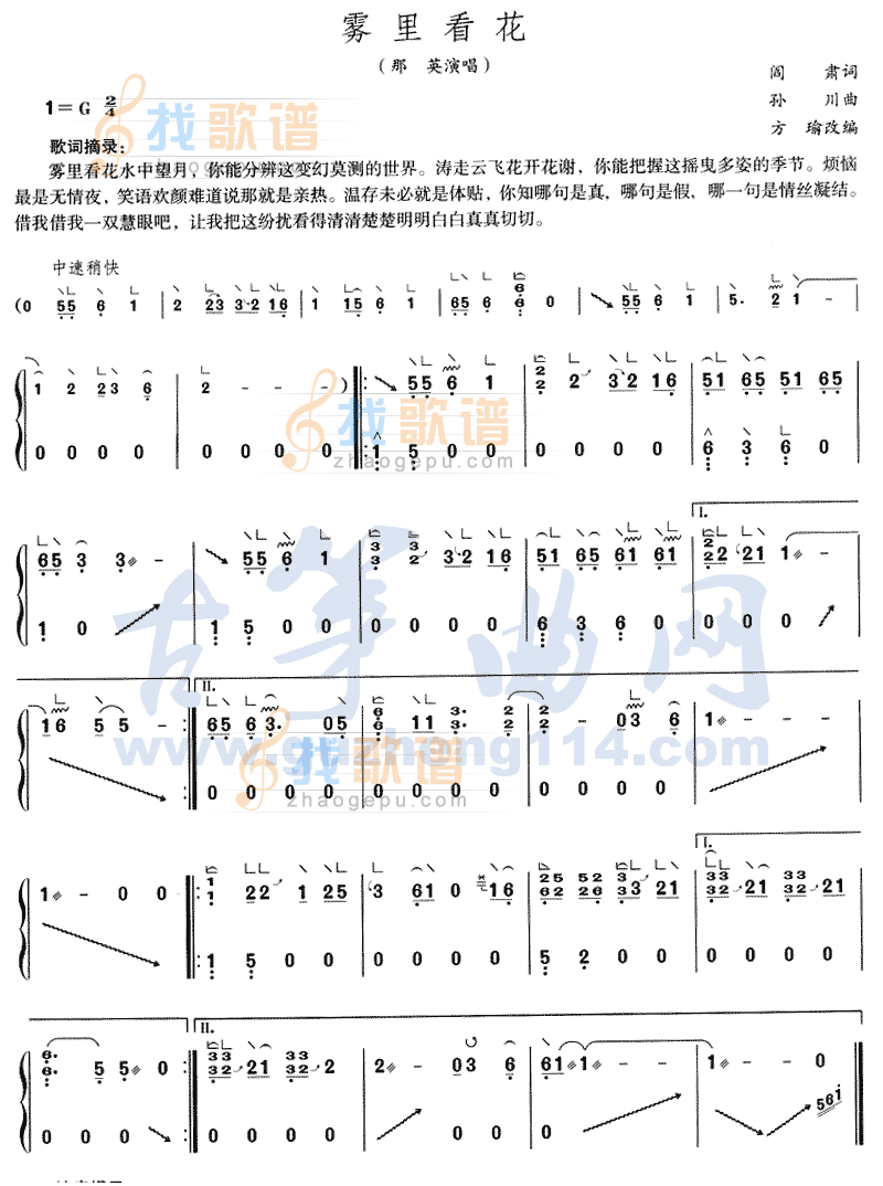雾里看花