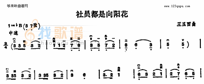 社员都是向阳花