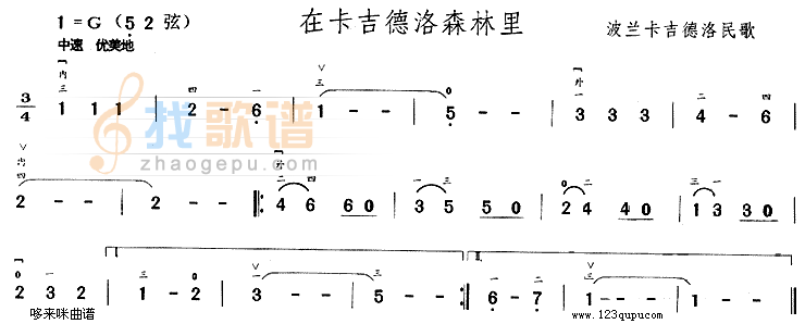 在卡吉德洛森林里