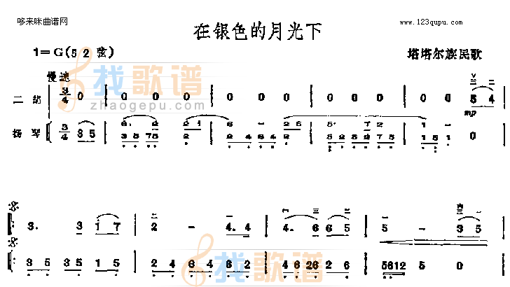 在银色的月光下