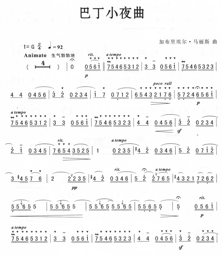 巴丁小夜曲