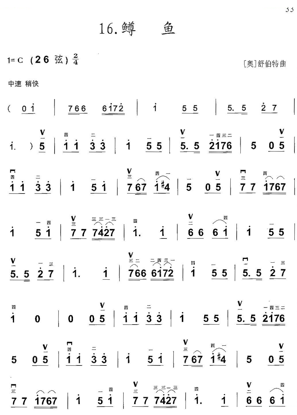 鳟鱼