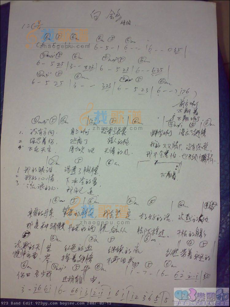 伍佰-白鸽