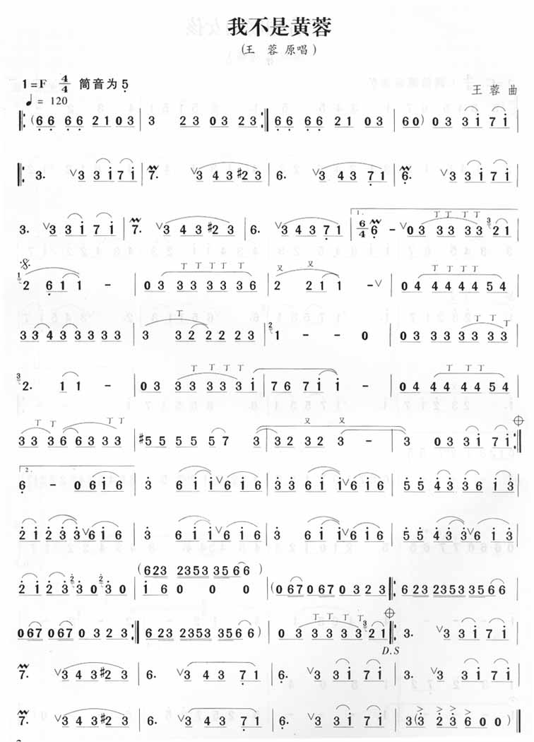 我不是黄蓉（王蓉）