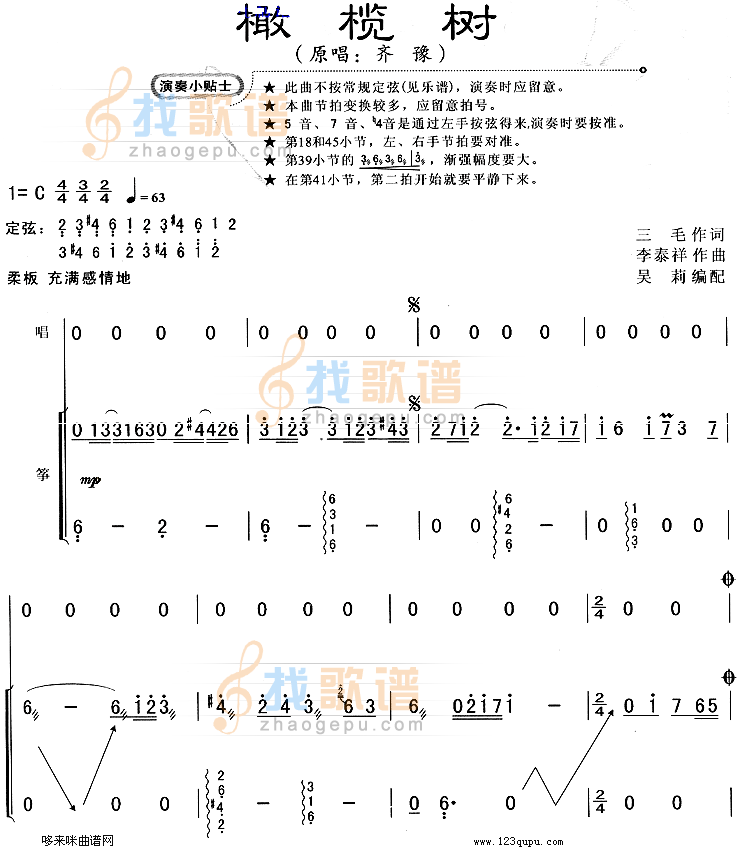 橄榄树