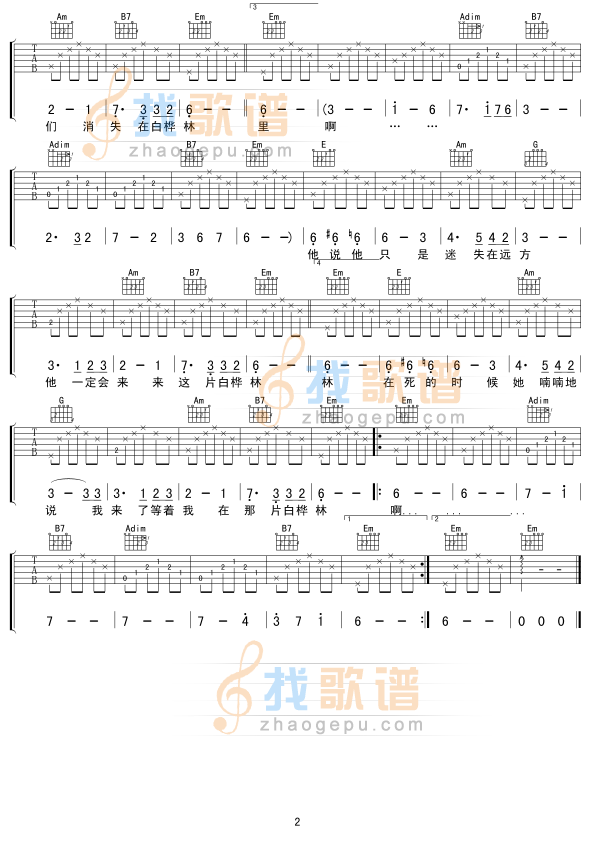 白桦林2