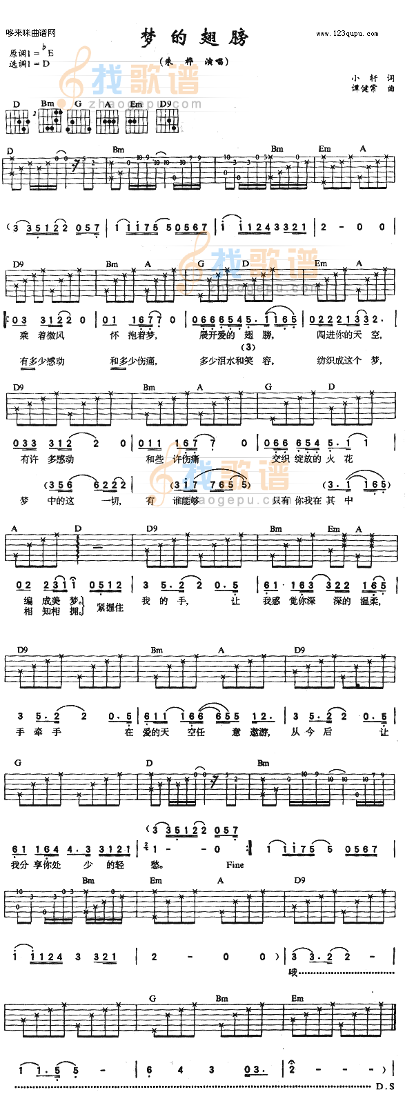 梦的翅膀（朱桦）