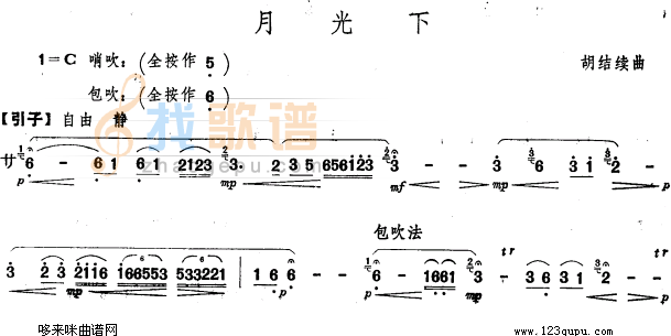 月光下
