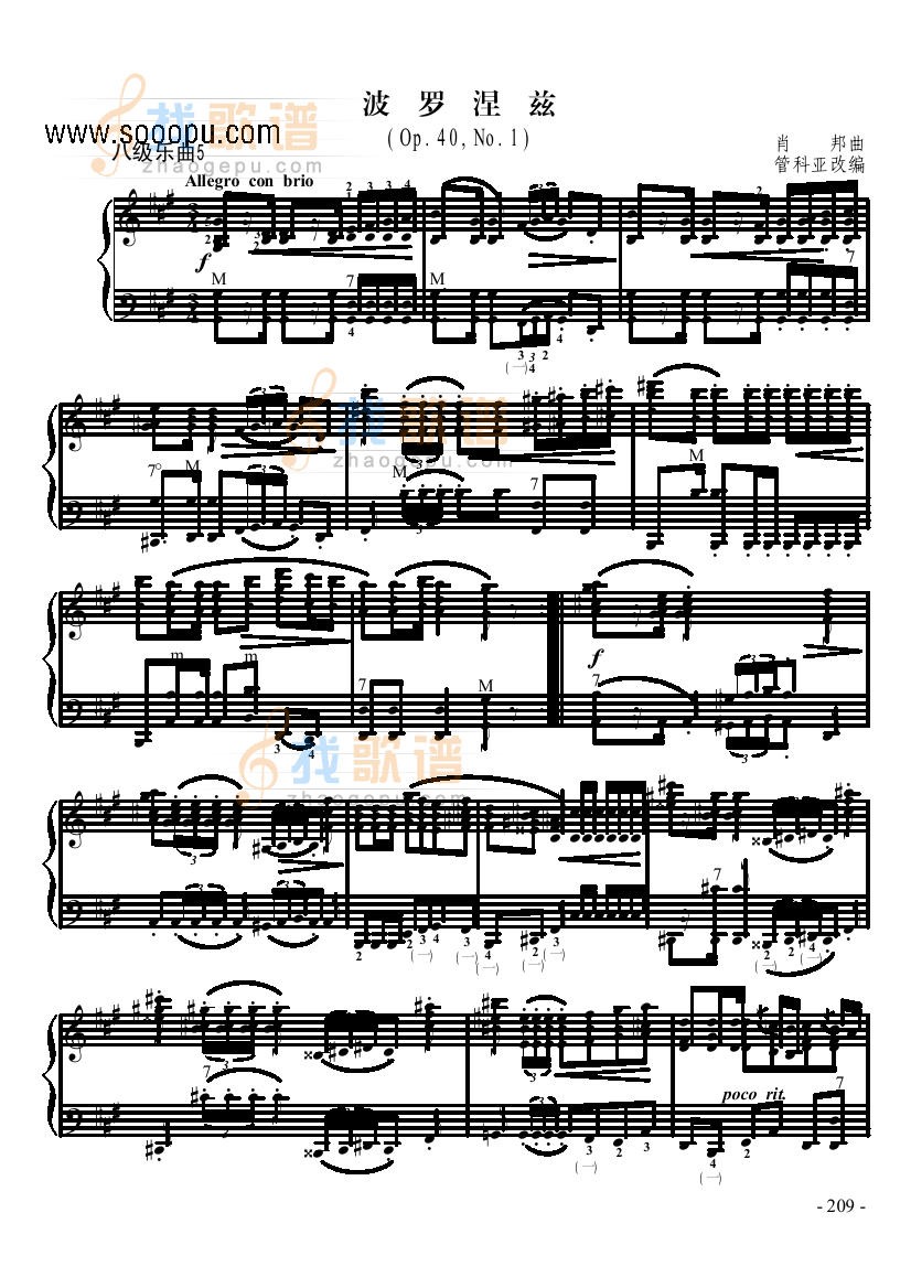 八级乐曲波罗涅兹