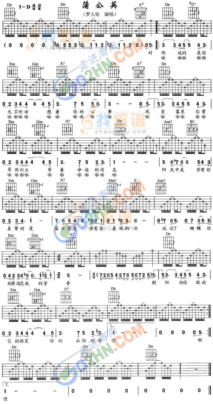 蒲公英