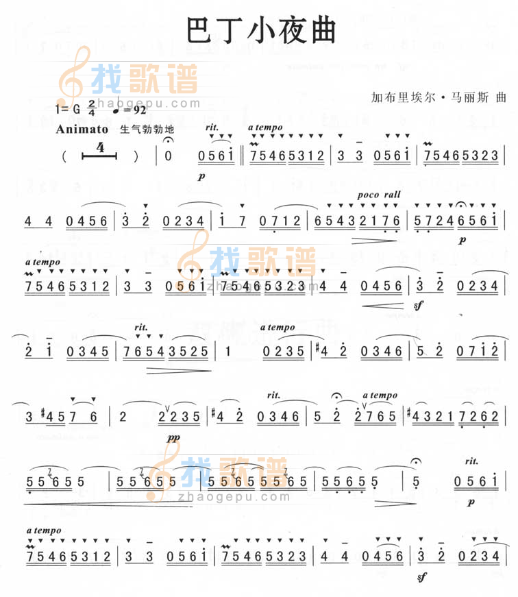巴丁小夜曲