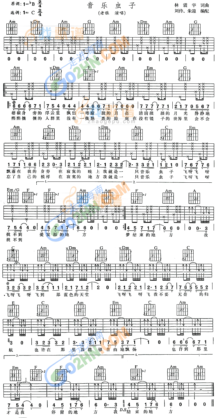 音乐虫子