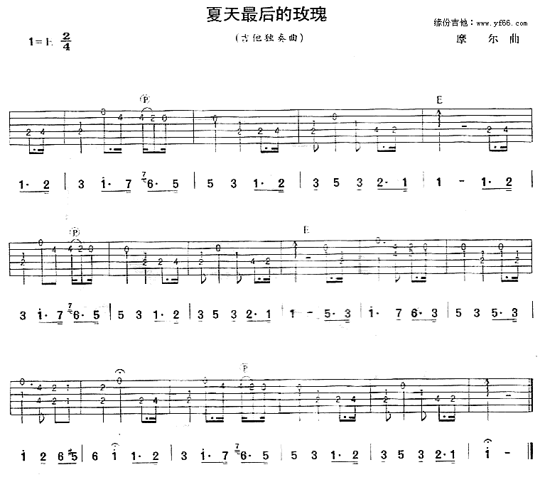 夏天最后的玫瑰